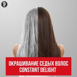 Окрашивание седых волос Constant Delight